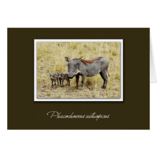 Warthog med smågrissafari-kort hälsningskort