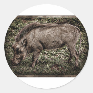 Warthog. Runt Klistermärke