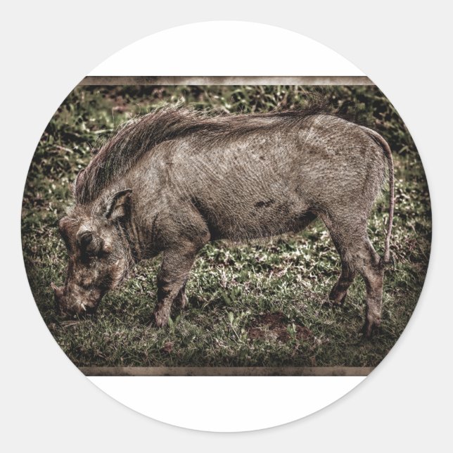 Warthog. Runt Klistermärke (Framsida)