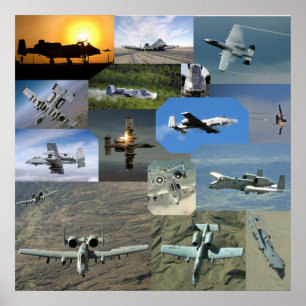 Warthog samling poster