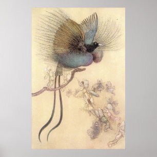 Warwick Goble Poster Paradise, vacker fågel