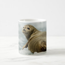 Wary Seal Kaffemugg