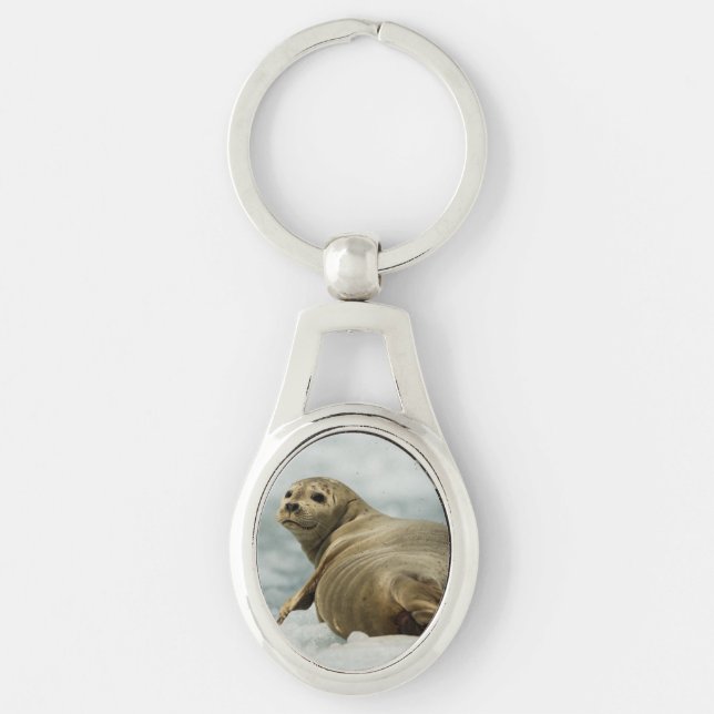 Wary Seal Ovalt Silverfärgad Nyckelring (Framsidan)