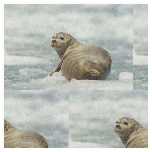 Wary Seal Tyg (Närbild)
