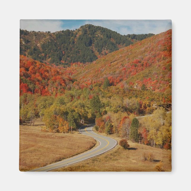Wasatch Mountains, Utah Magnet (Framsidan)