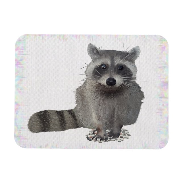 Waschbär Magnet (Horisontell)