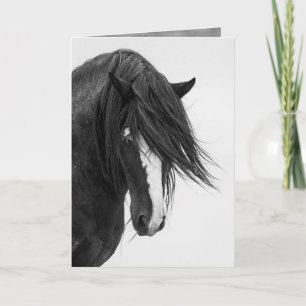 Washakies Porträtt Vild Horse Greeting Card Kort