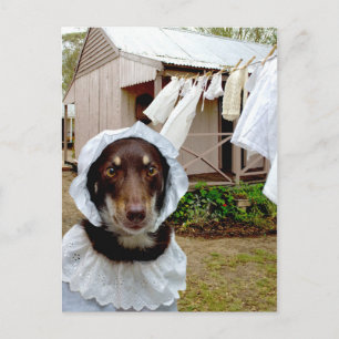 Washerdare Vykort