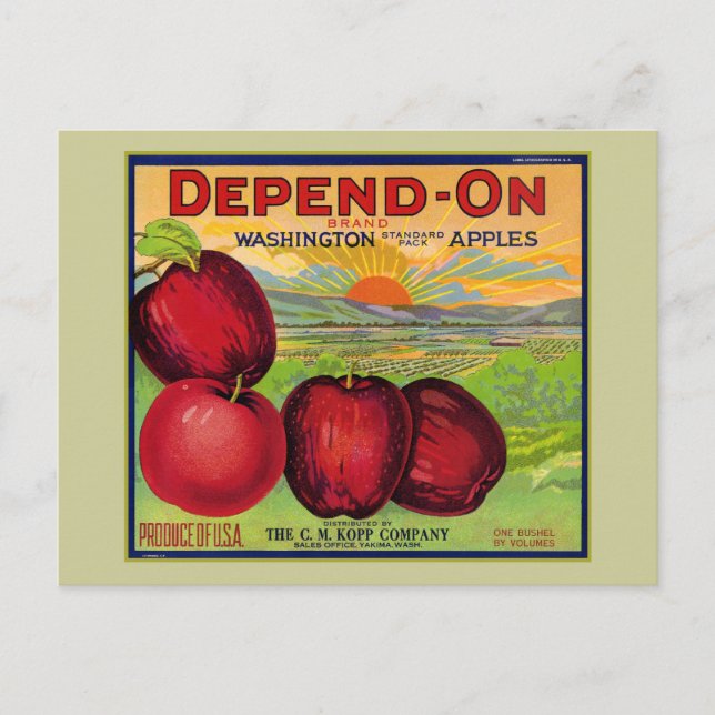 Washington Apples Vykort (Framsida)