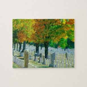 Washington Arlington Cemetery Pussel