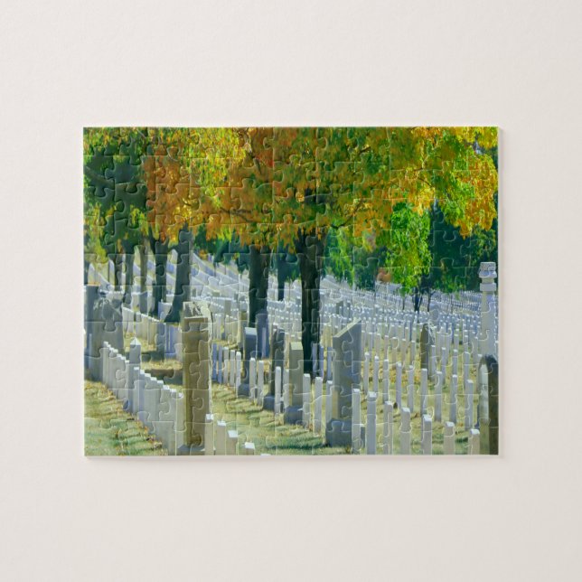 Washington Arlington Cemetery Pussel (Horisontell)