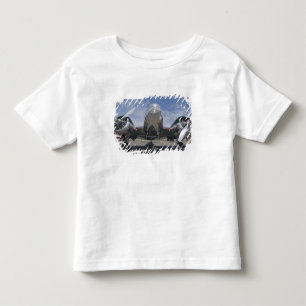Washington, Arlington Fly-in, flyguppvisning. Tee Shirt