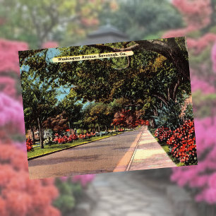 Washington Avenue Savannah GA historisk Vykort