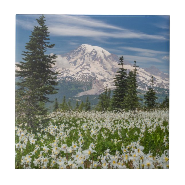 Washington, berget Rainier National Park 1 Kakelplatta (Framsidan)