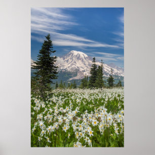 Washington, berget Rainier National Park 1 Poster