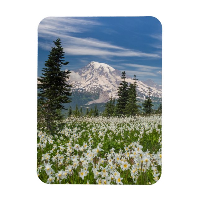 Washington, berget Rainier nationalpark 1 Magnet (Vertikal)
