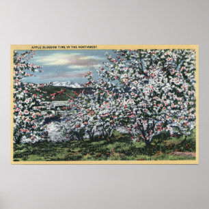 Washington - beskåda av Apple träd i blommar Poster
