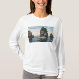 Washington - beskåda av uddsmicker & Tatoosh T Shirt