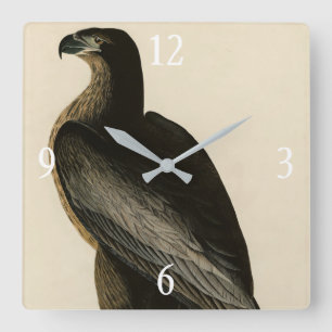 Washington Bird of Audubon's Birds of America Fyrkantig Klocka