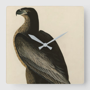 Washington Bird of Audubon's Birds of America Fyrkantig Klocka