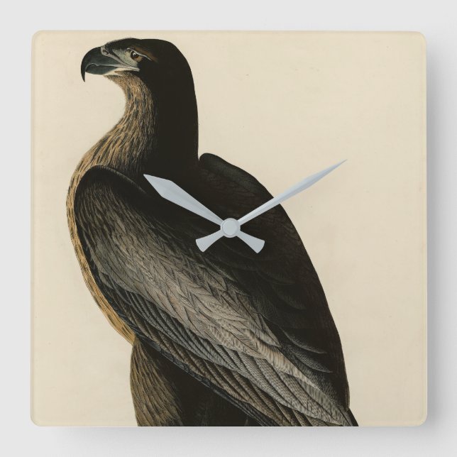 Washington Bird of Audubon's Birds of America Fyrkantig Klocka (Framsida)