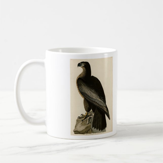 Washington Bird of Audubon's Birds of America Kaffemugg (Vänster)