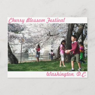 Washington, D.C. Cherry Blommar vycard Vykort