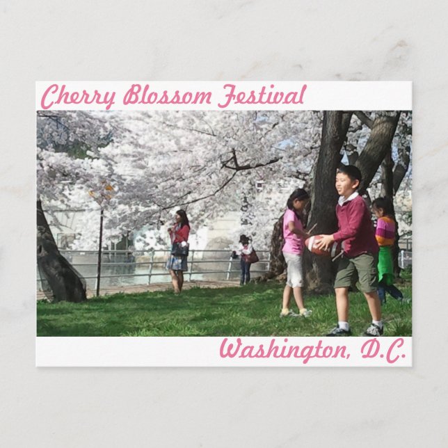 Washington, D.C. Cherry Blommar vycard Vykort (Framsida)