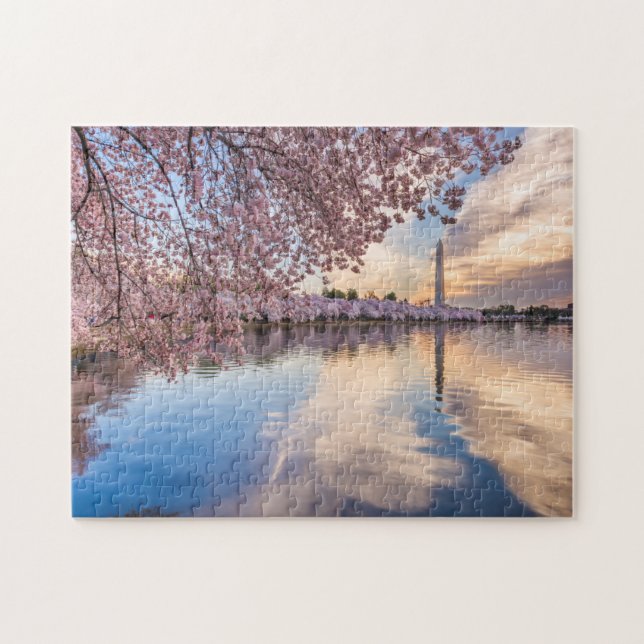 Washington D.C Cherry Blossom Pussel (Horisontell)
