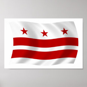 Washington D.C. Flagga Affisch Print