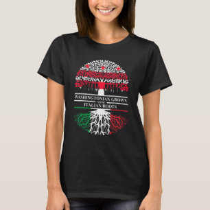 Washington D C I T Shirt