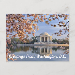 Washington D.C. Jefferson Memorial Vykort