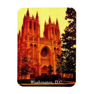 Washington D.C. Magnet