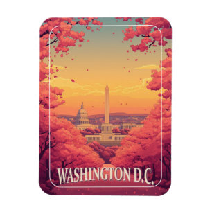 Washington D.C. Magnet