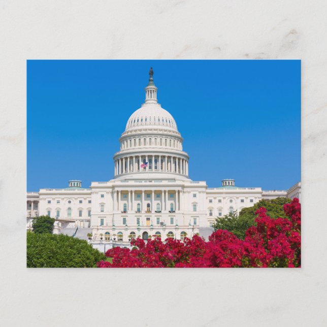 Washington D.C. Vykort (Framsida)