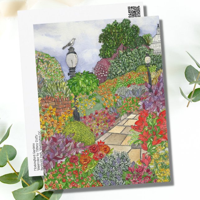 Washington D.C. Watercolor Vykort (Skapare uppladdad)