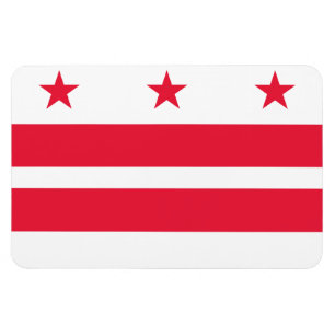 Washington DC flagga Magnet