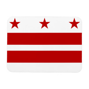 Washington DC flagga Magnet
