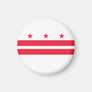 Washington DC flagga Magnet