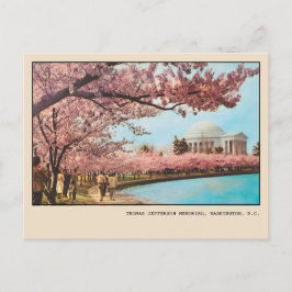 Washington DC Jefferson Memorial Körsbärsblommor Vykort