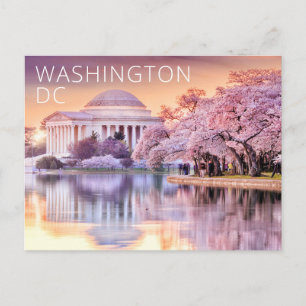 Washington DC Jefferson Memorial Körsbärsblommor Vykort