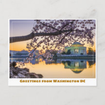 Washington DC Jefferson Memorial med Körsbärsgren