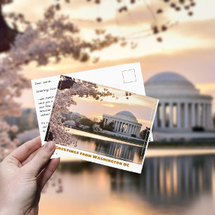 Washington DC Jefferson Memorial med körsbärsträd Vykort
