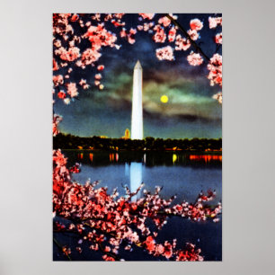 Washington DC Memorial Poster