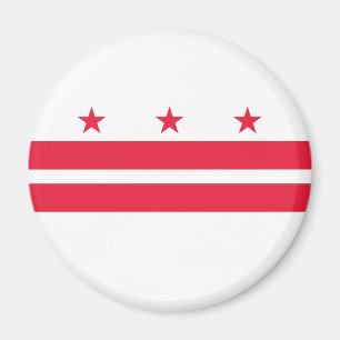 Washington DC Statlig flagga Magnet