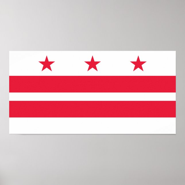 Washington DC Statlig flagga Poster (Framsidan)