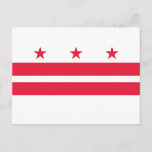 Washington DC Statlig flagga Vykort