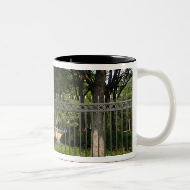 Washington DC, staty av George Washington, Två-Tonad Mugg (Höger)