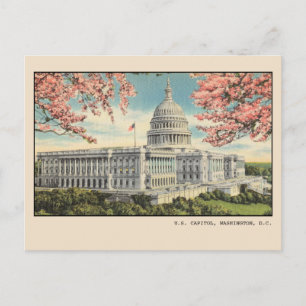 Washington DC vycard US Huvudstad Cherry Blommars Vykort