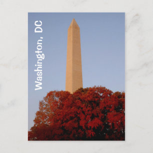 Washington, DC: Washington Monument i Fall Vykort